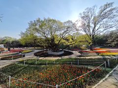 -沈阳植物园