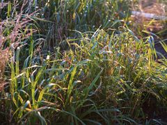 -萍乡武功山风景名胜区