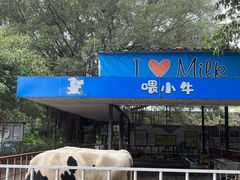-光明农场大观园
