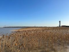 -上海吴淞炮台湾国家湿地公园