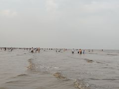 -南汇新城海滩