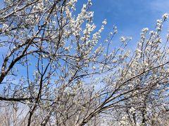 -长春公园(普阳街道)