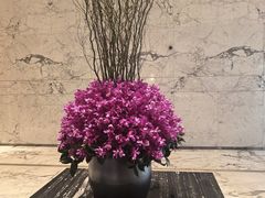 -上海宝华万豪酒店