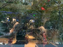 -VIP 威尔仕健身·游泳(嘉华中心店)