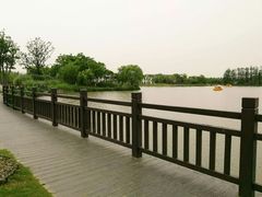 -上海长兴岛郊野公园