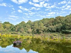 -深圳仙湖植物园