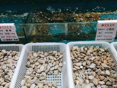 -宝燕壹号(徐汇店)
