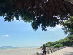 -深圳湾公园(南山区)