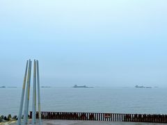 -上海滨江森林公园