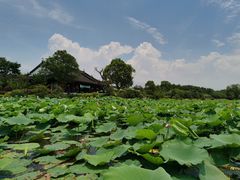 -上海海湾国家森林公园