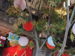 -五马集·海鲜·温州大牌档(黑金冠五马街十字路口店)