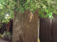 -春熙小馆(乘风庄店)