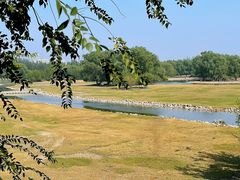 -北京麋鹿生态实验中心