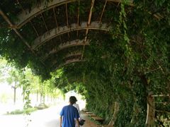 -南京邮电大学(仙林校区)