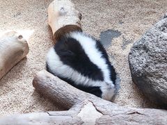 -海合安武汉极地海洋公园