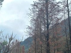 -广州市石门国家森林公园