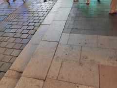 -亚马逊海鲜自助(梅溪湖步步高店)