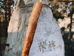 -周口店北京人遗址公园