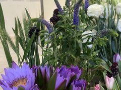 -植物学家的女儿(北马道巷店)