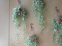 -桃花江餐厅·江景-约会·聚会