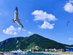 -大连老虎滩海洋公园
