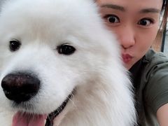 -美联众合动物医院·24h转诊中心