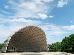 -上海吴淞炮台湾国家湿地公园