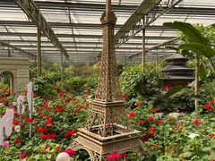 -南宫五洲植物乐园