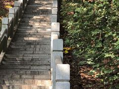 -红花山公园