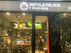 -酷以爬仙阁实体爬宠店·守宫·蜥蜴·专业繁育