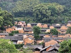 -杨家堂村