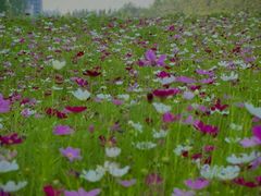 -北沙滩(地铁站)