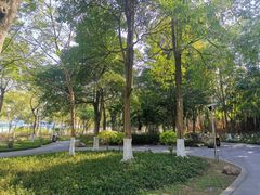 -火炉山森林公园
