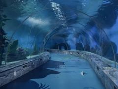 -泉城欧乐堡海洋极地世界