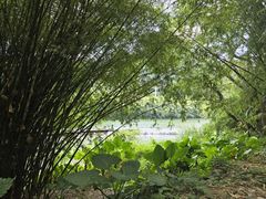 -清远鱼水旅游风景度假区