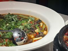 -天辣(金桥啦啦宝都店)