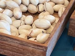 -松赞拉萨林卡酒店