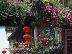 -老门东历史文化街区