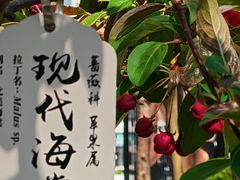 -元大都城垣遗址公园