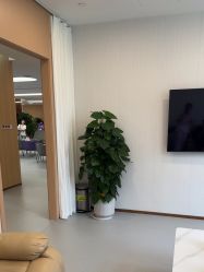 -上海伊莱美医疗美容医院