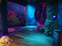 -沈阳海洋探索中心