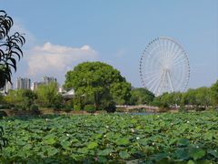 -无锡蠡湖国家湿地公园-蠡园