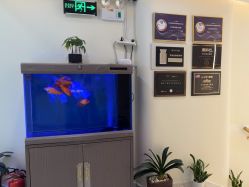 -海涛医疗美容·面部抗衰·注射美鼻