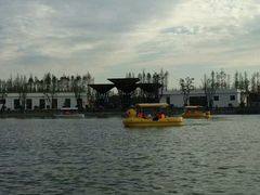 -上海长兴岛郊野公园