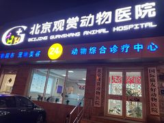 -北京观赏动物医院·24小时大型综合·猫专科·异宠专科