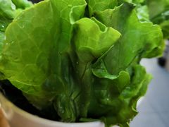 -曹丞相·地锅鸡·地锅鱼(武林店)