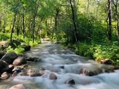 -玉渡山自然风景区