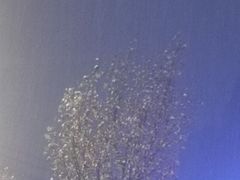-朗悦公园茂