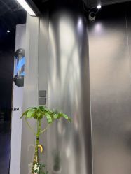 -东方麒麟·潘多拉SALON