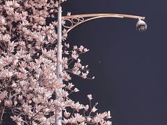 -南京工程学院(江宁校区)